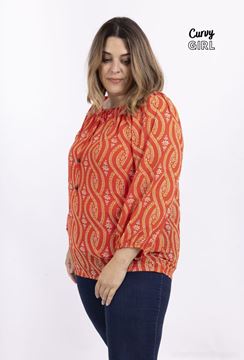 Picture of CURVY GIRL CHIFFON BLOUSE